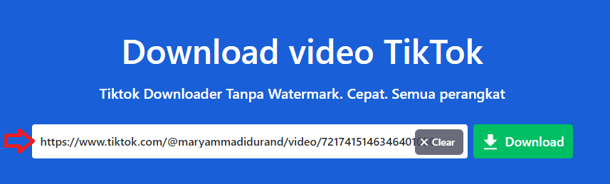 Cara download video di tiktok tanpa ada watermark