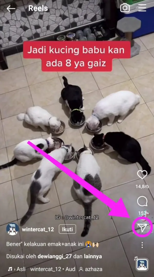 Repost reel ke story 1
