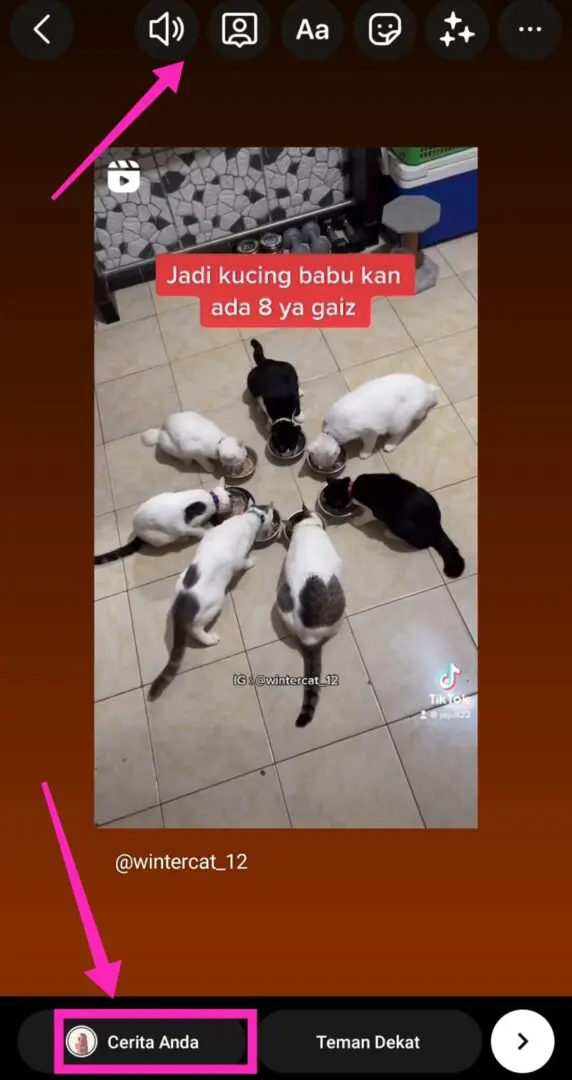 Repost reel ke story 3