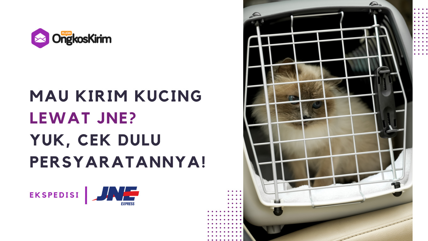 Mau kirim kucing lewat jne? Ini dia persyaratannya!