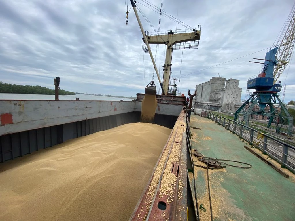 From standard freight to bulk shipping: when cargo requires a chartered vessel 2 From standard freight to bulk shipping: when cargo requires a chartered vessel 1