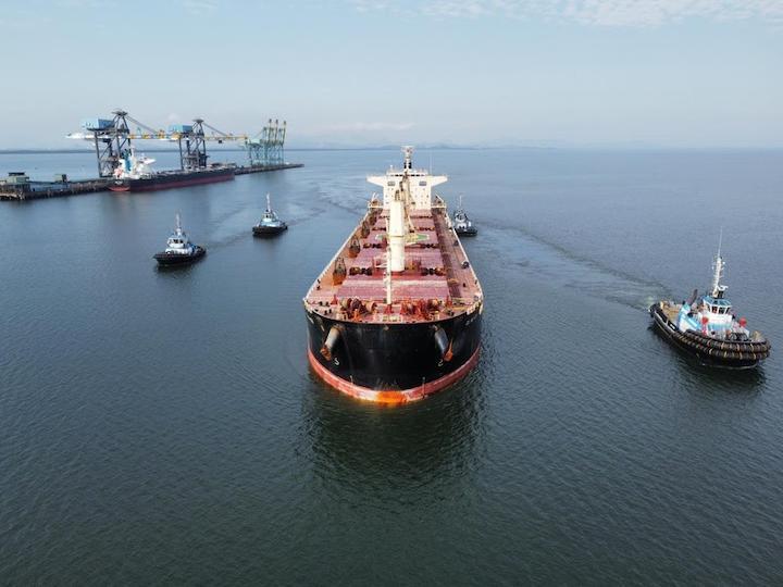 From standard freight to bulk shipping: when cargo requires a chartered vessel 10 From standard freight to bulk shipping: when cargo requires a chartered vessel 9