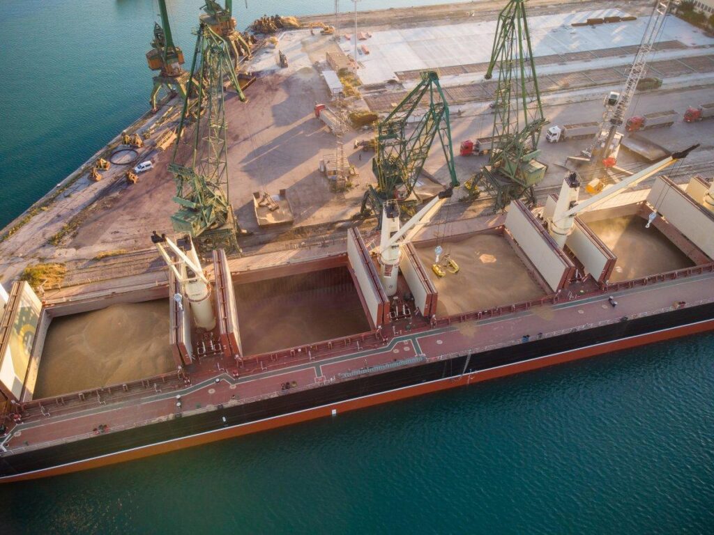 From standard freight to bulk shipping: when cargo requires a chartered vessel 8 From standard freight to bulk shipping: when cargo requires a chartered vessel 7